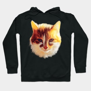 I Am a Ray of Sunshine Cat Hoodie